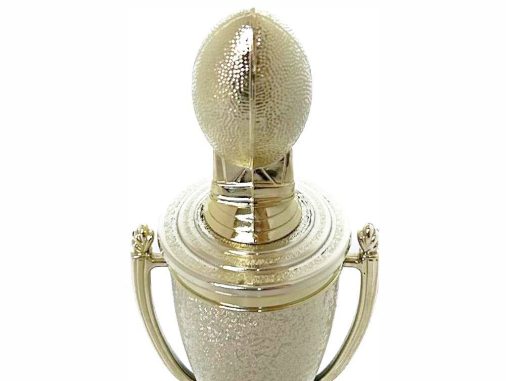 Rugby Ball Trophy 265mm
