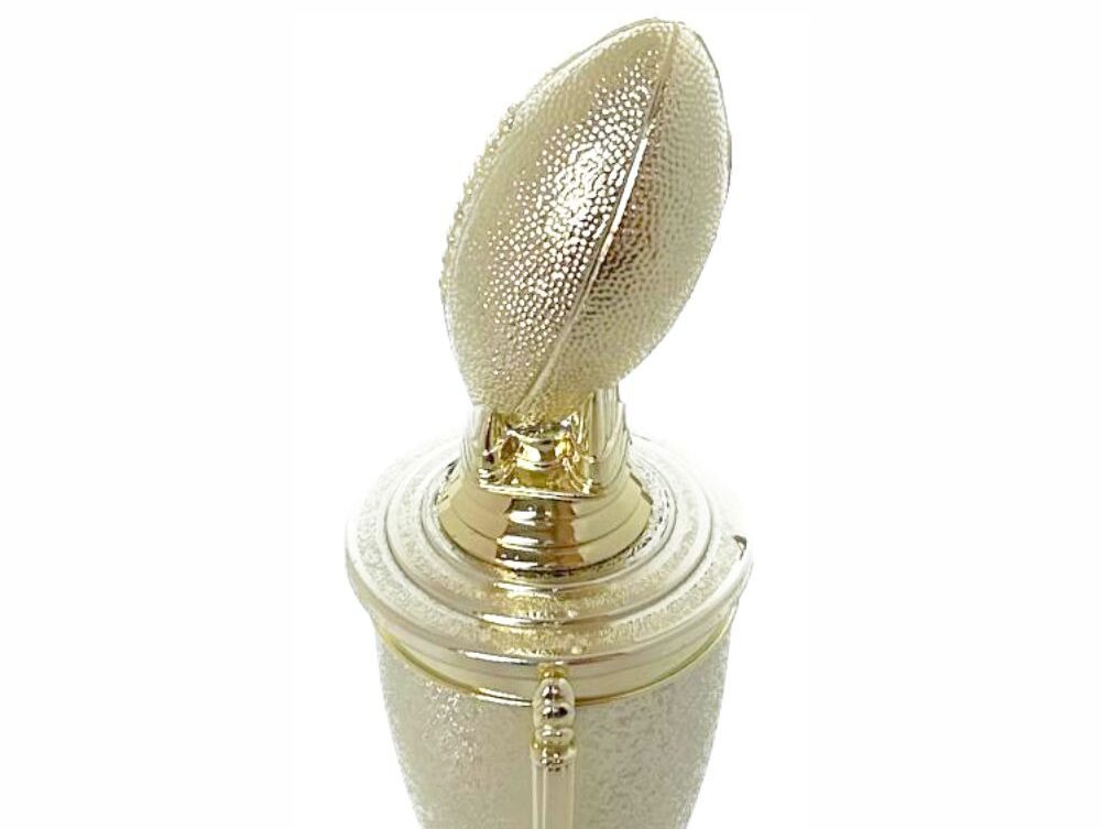 Rugby Ball Trophy 265mm
