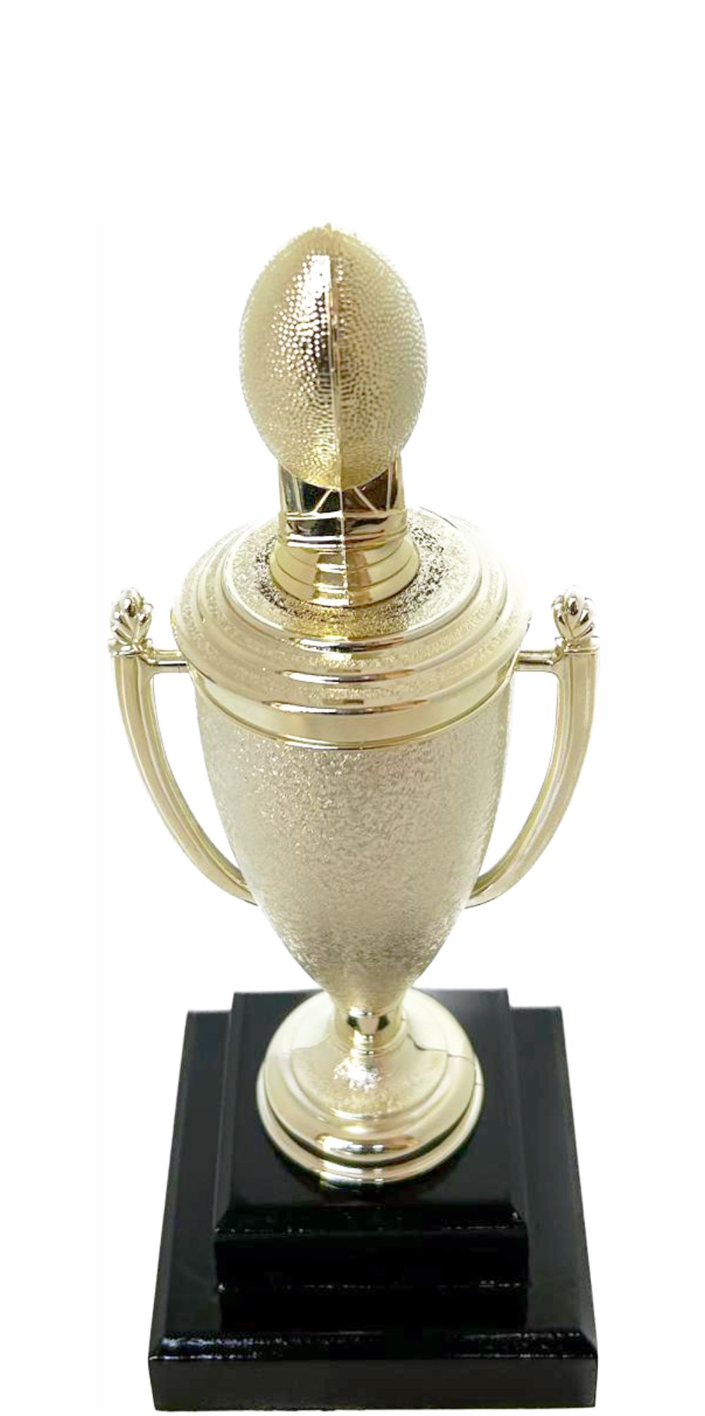 Rugby Ball Trophy 325mm