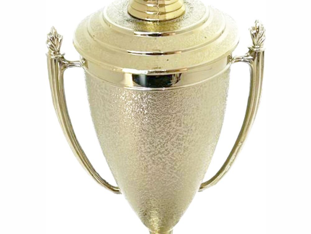 Rugby Ball Trophy 365mm
