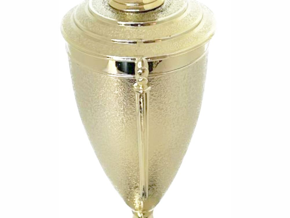 Rugby Ball Trophy 365mm
