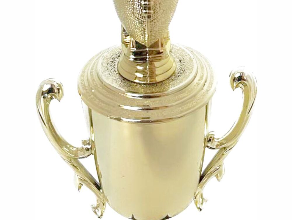 Rugby Ball Trophy 325mm