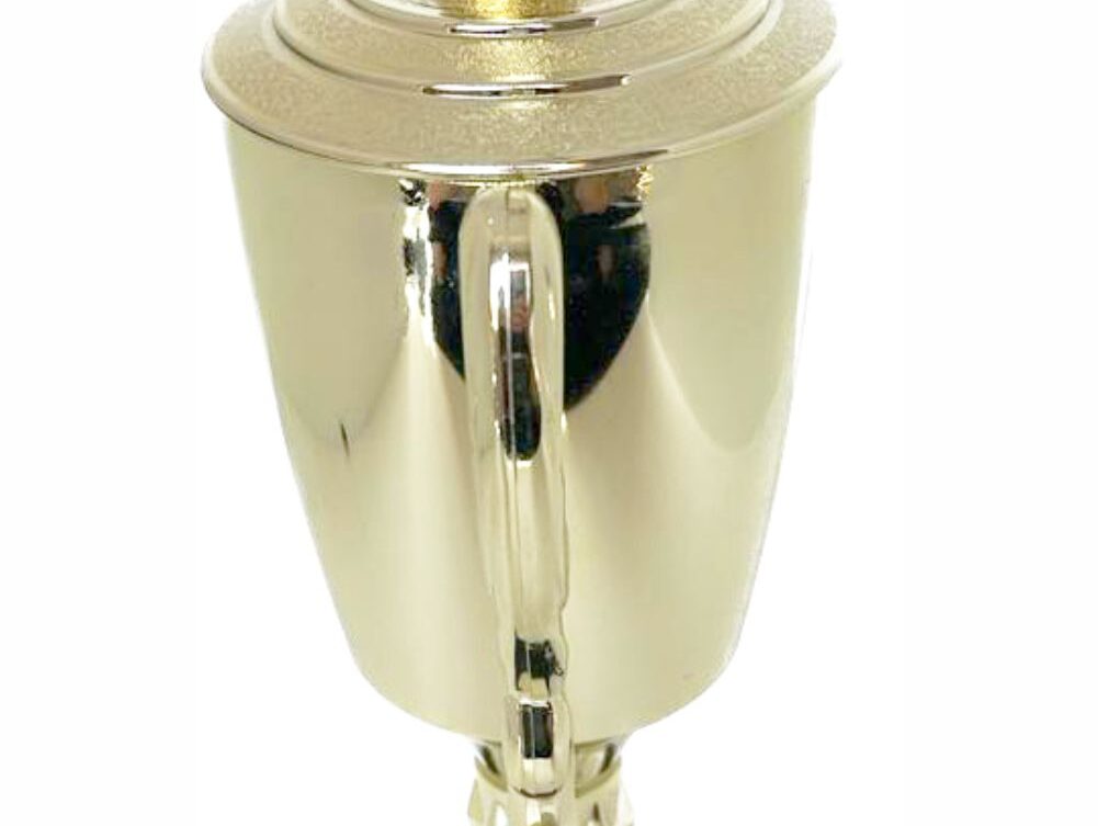 Rugby Ball Trophy 365mm