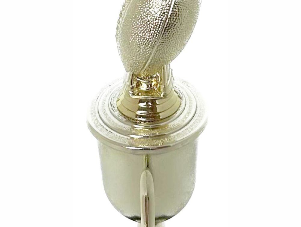 Rugby Ball Trophy 290mm