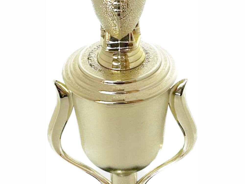 Rugby Ball Trophy 325mm