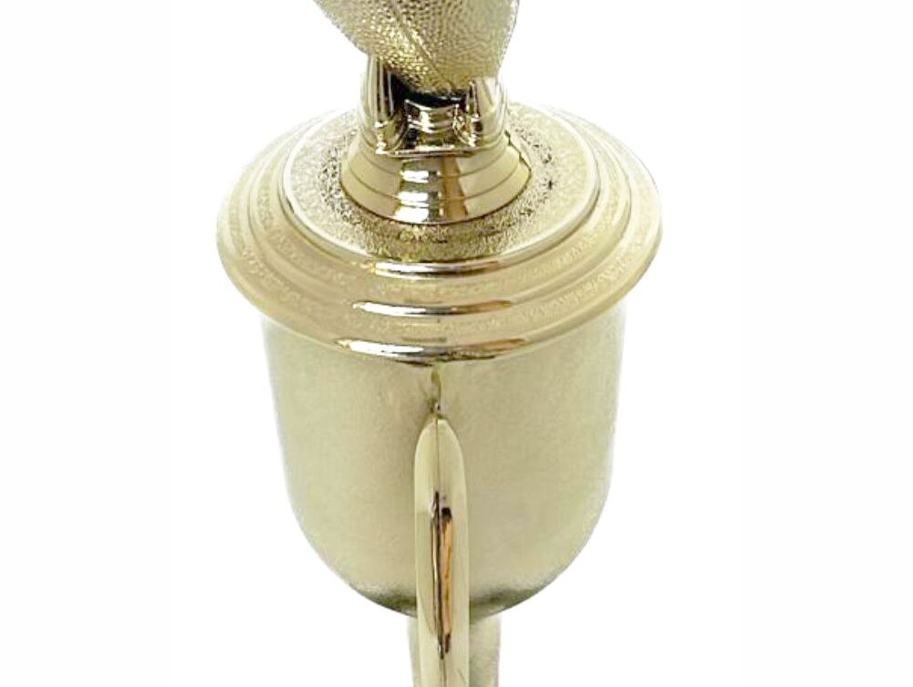 Rugby Ball Trophy 325mm