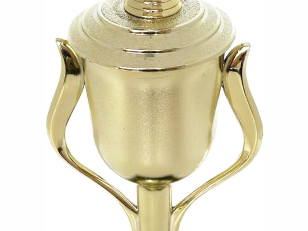 Rugby Ball Trophy 365mm