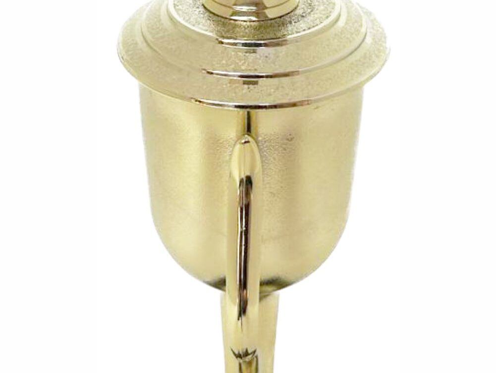 Rugby Ball Trophy 365mm