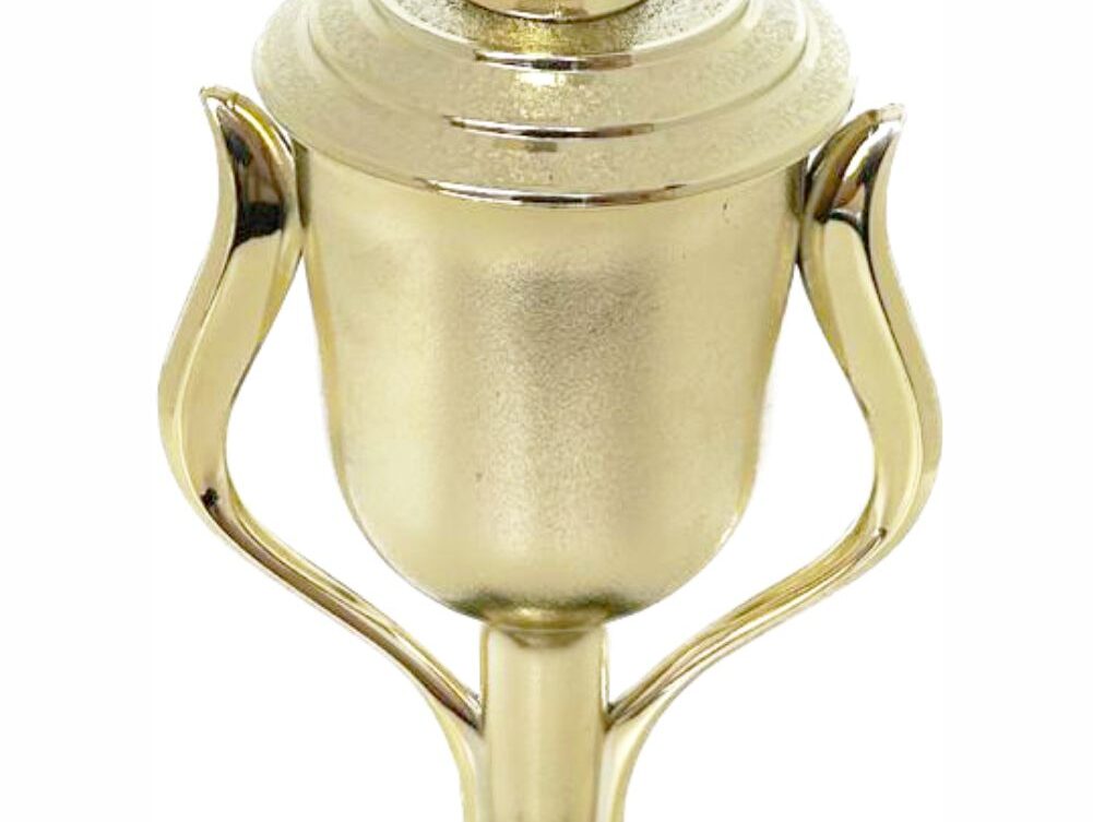 Rugby Ball Trophy 365mm