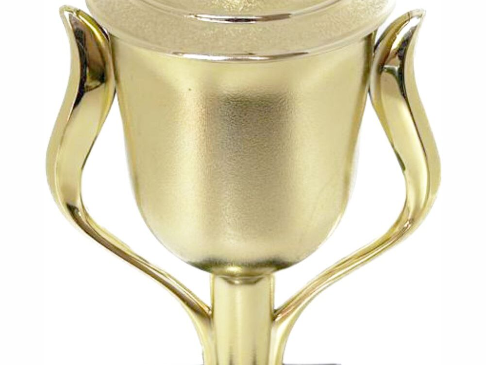 Rugby Ball Trophy 405mm