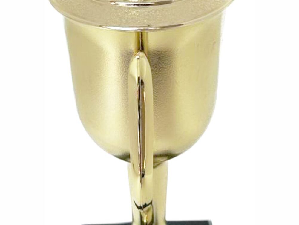 Rugby Ball Trophy 405mm