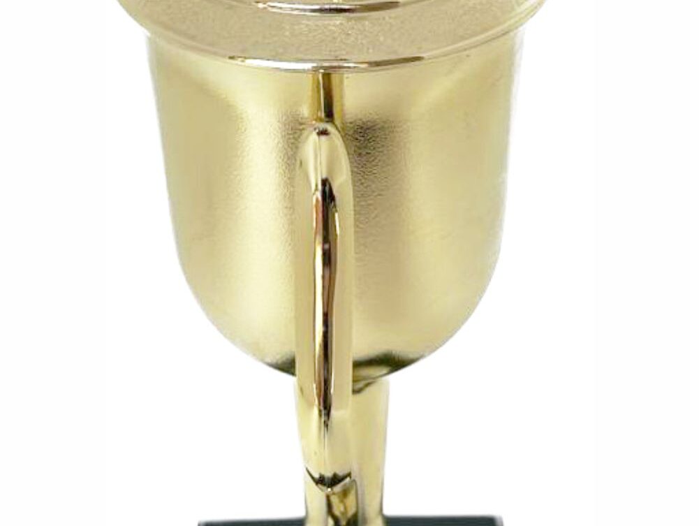 Rugby Ball Trophy 405mm