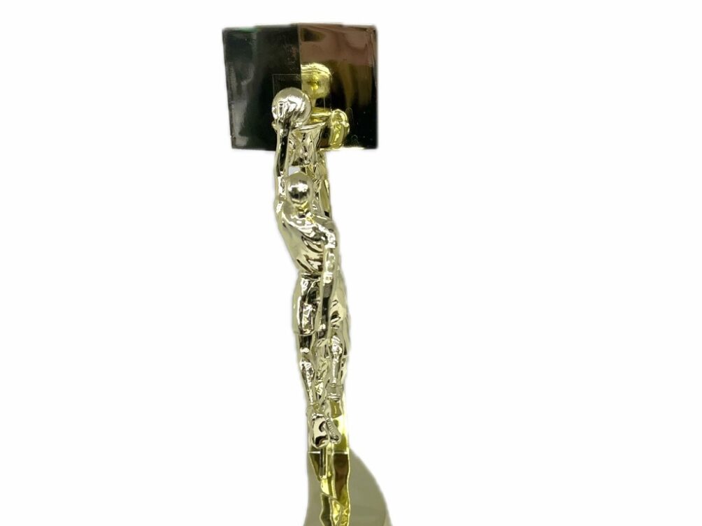 Basketball Double Action Male With Basket 345mm