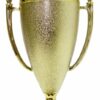 Holder Flame Medal Trophy 360mm