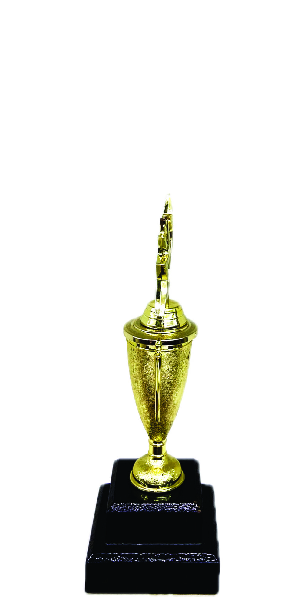 Dancing Star Trophy 215mm