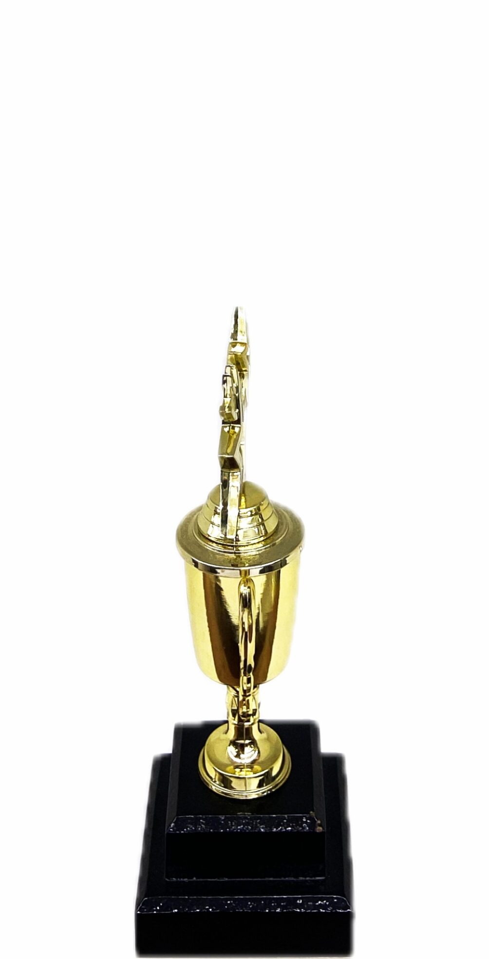 Dancing Star Trophy 215mm