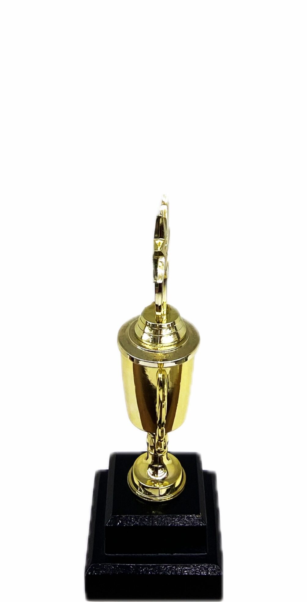 Dancing Star Trophy 215mm