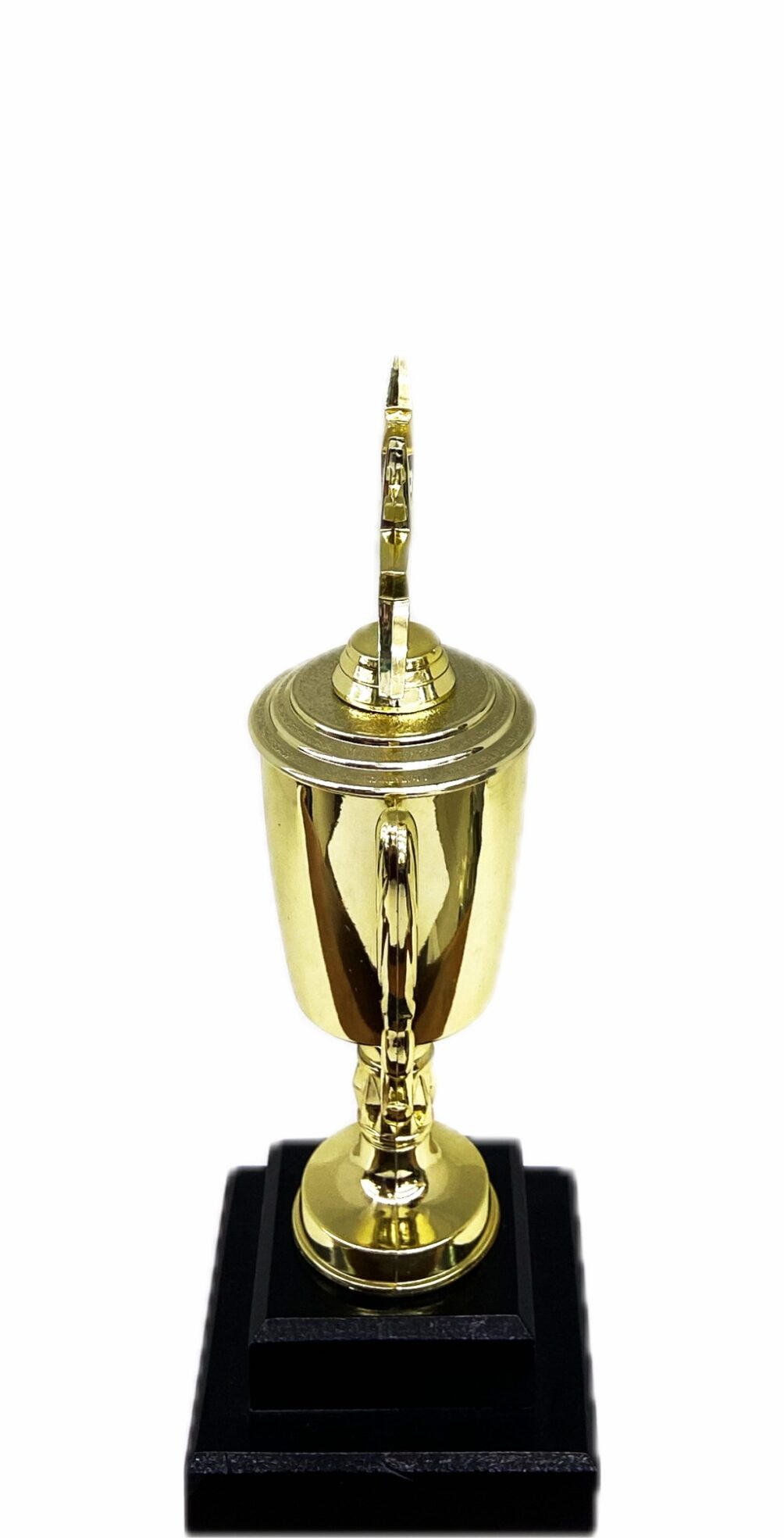 Dancing Star Trophy 240mm
