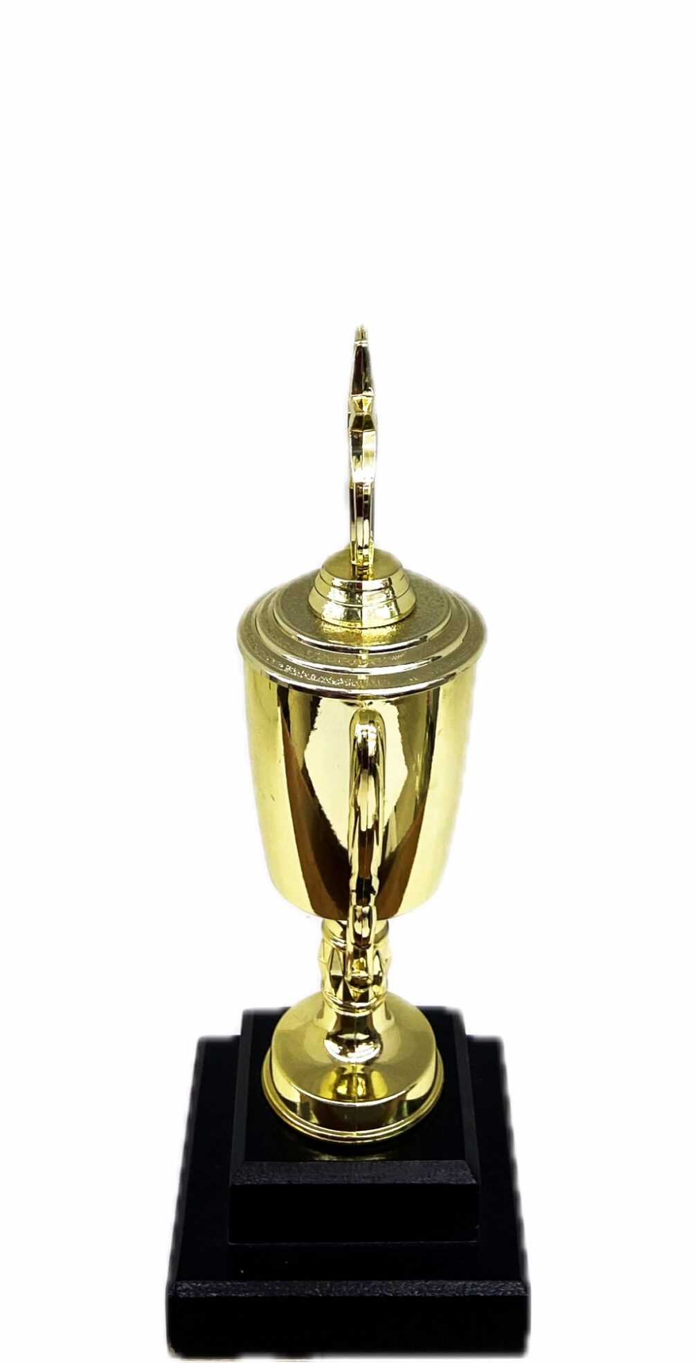Dancing Star Trophy 240mm
