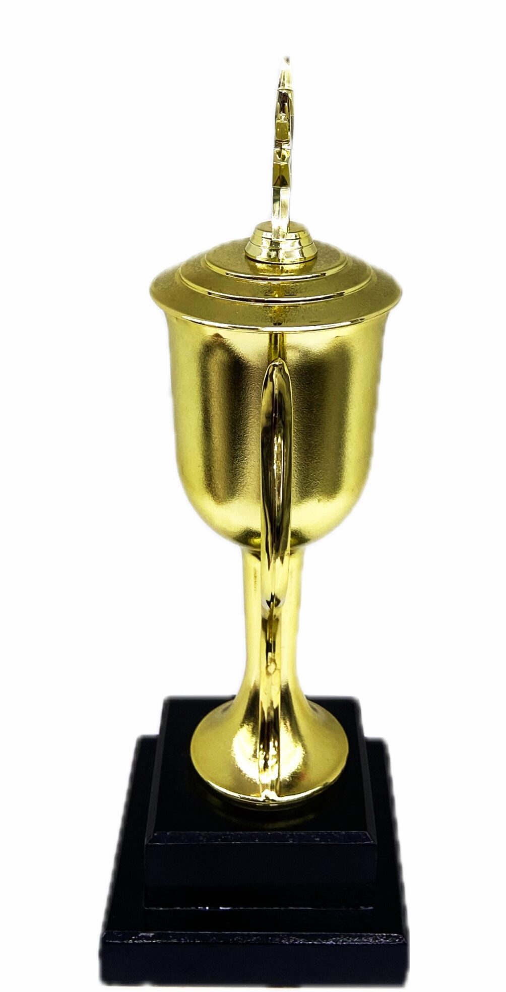 Dancing Star Trophy 315mm