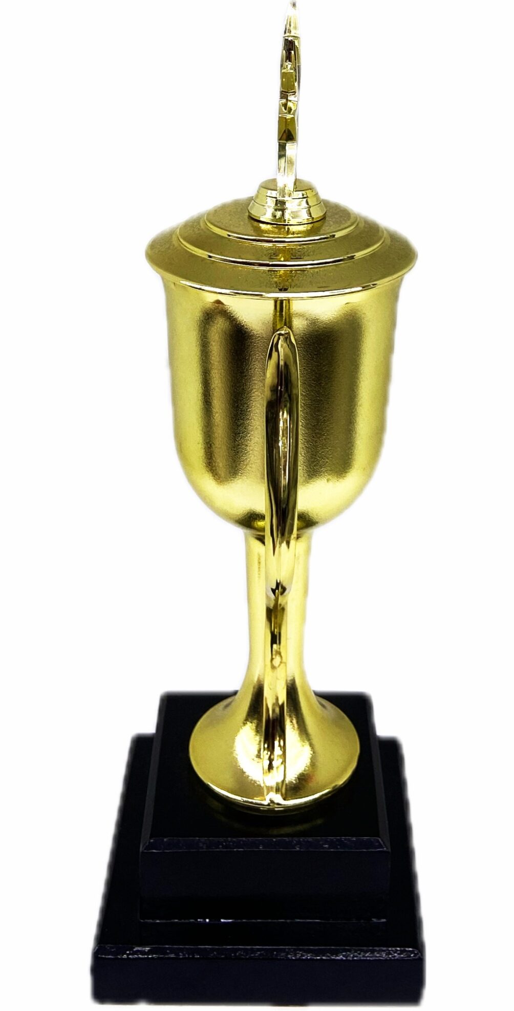 Dancing Star Trophy 355mm