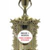 ACTIVITY STAR HOLDER CUP TROPHY 280mm