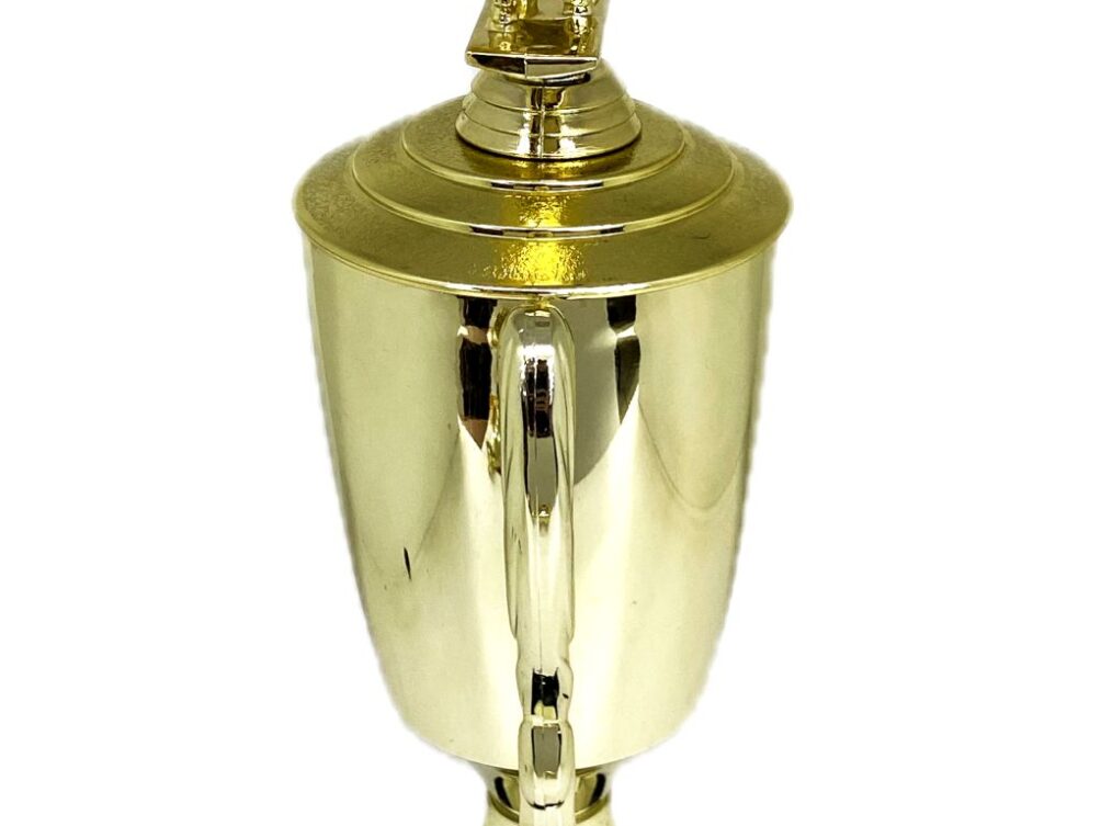 Angus Bull Trophy 275mm