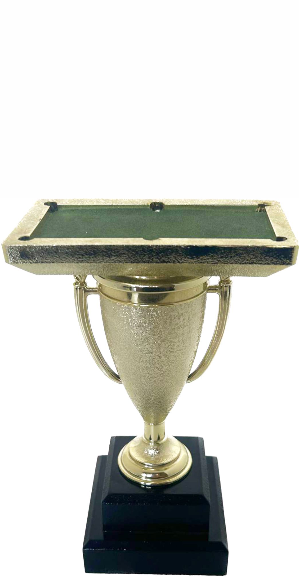 Pool Table Trophy 215mm