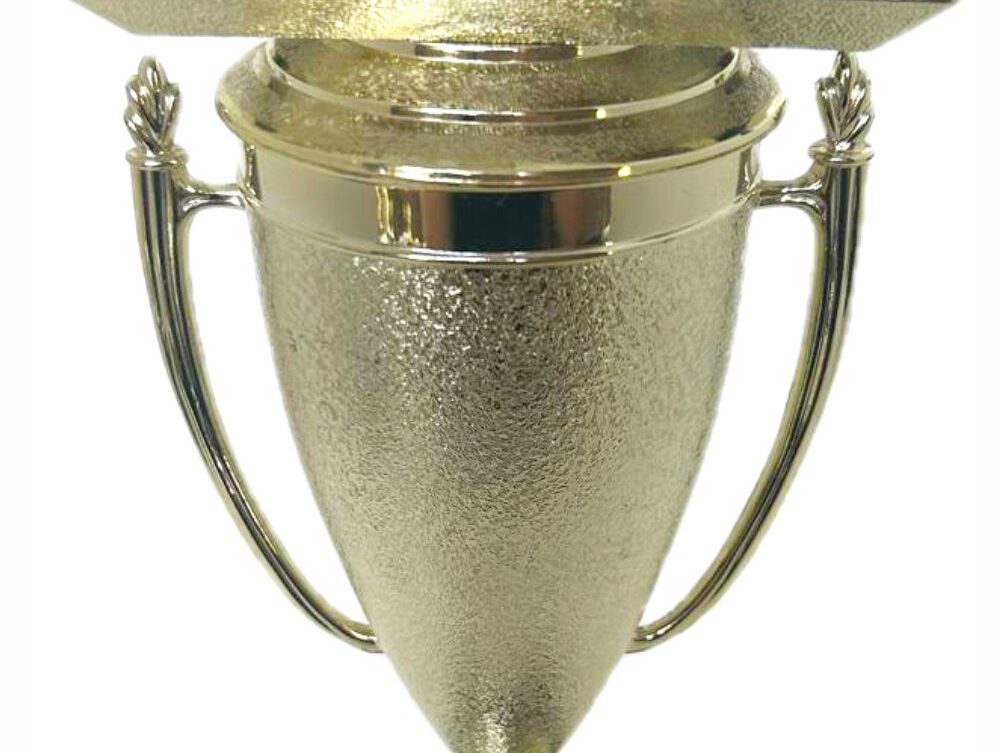 Pool Table Trophy 255mm