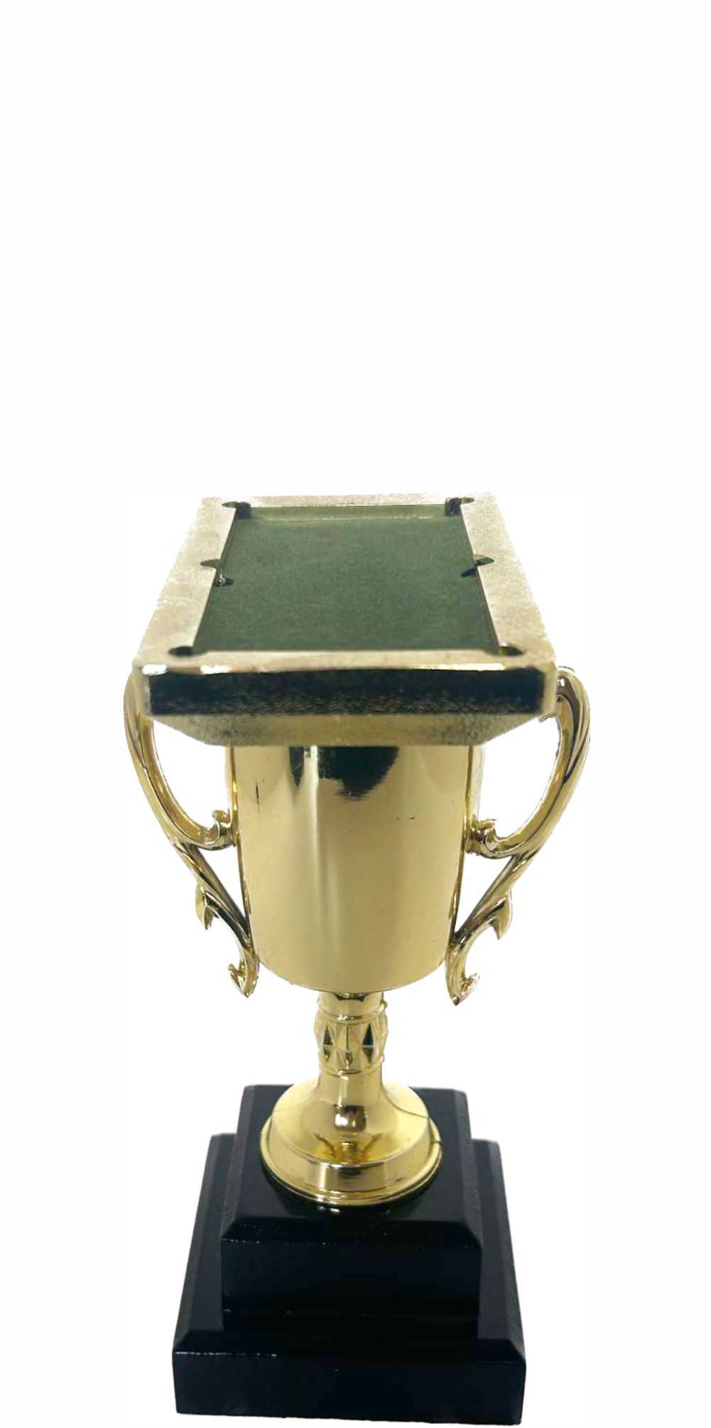 Pool Table Trophy 215mm