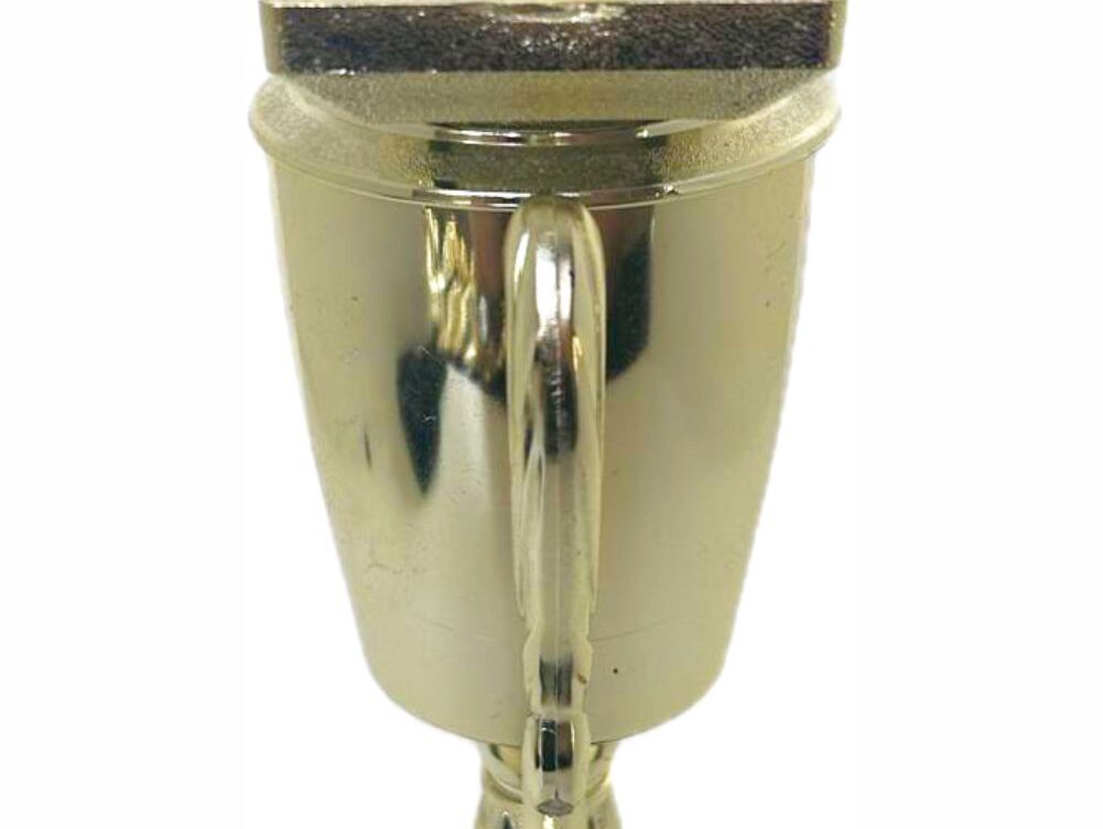 Pool Table Trophy 255mm