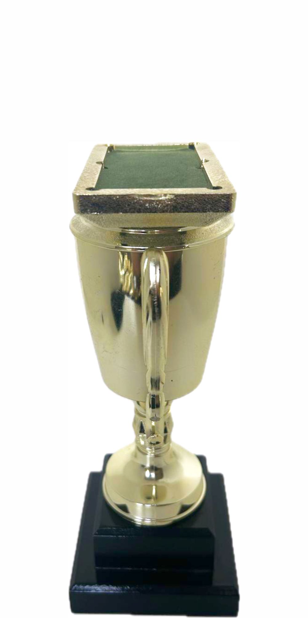 Pool Table Trophy 255mm