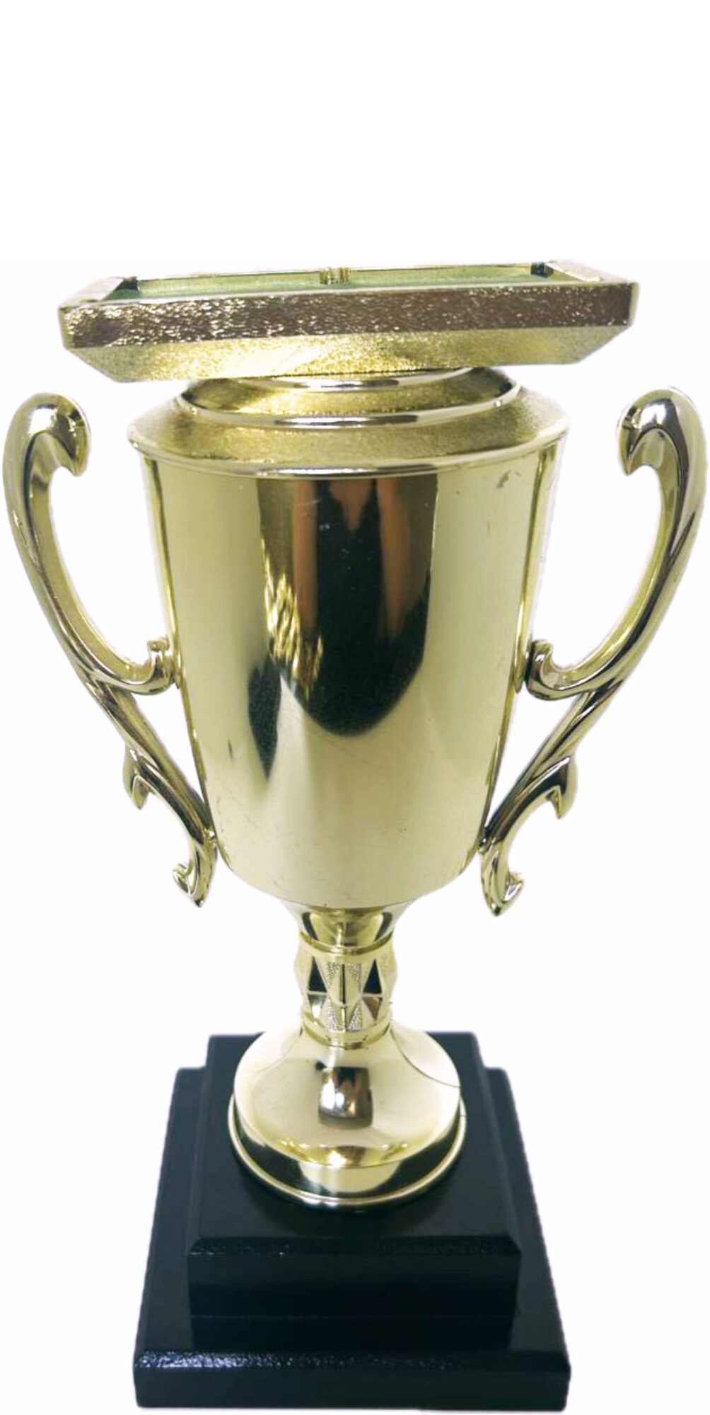 Pool Table Trophy 295mm