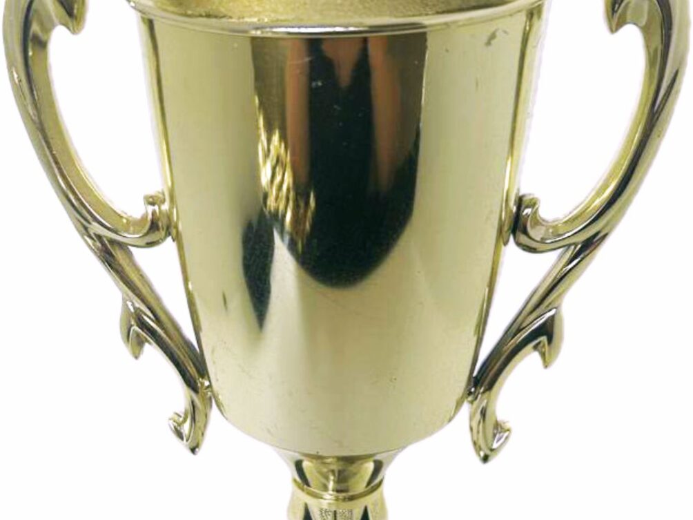 Pool Table Trophy 295mm