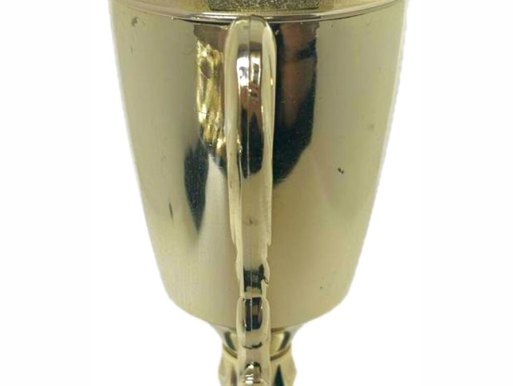 Pool Table Trophy 295mm