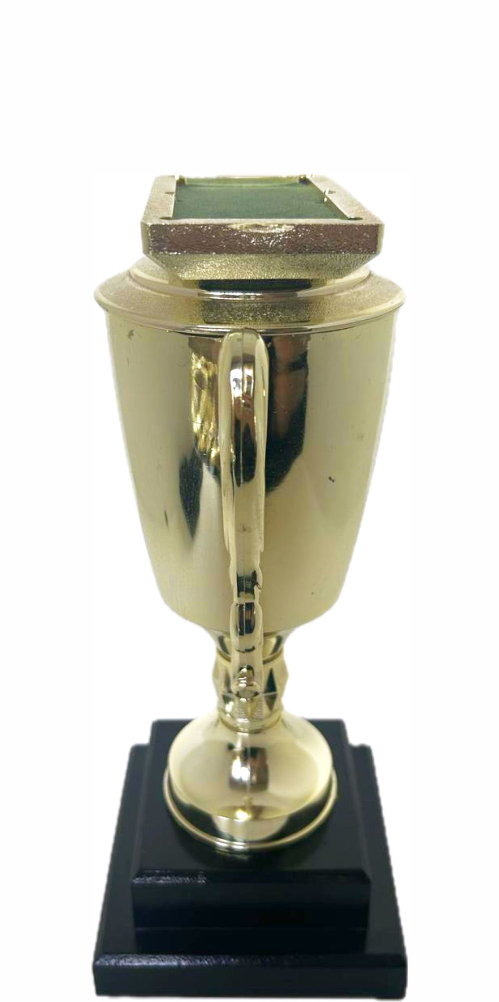 Pool Table Trophy 295mm