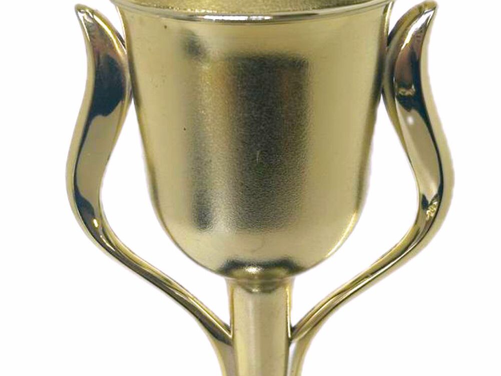 Pool Table Trophy 295mm