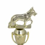 Dog Trophies