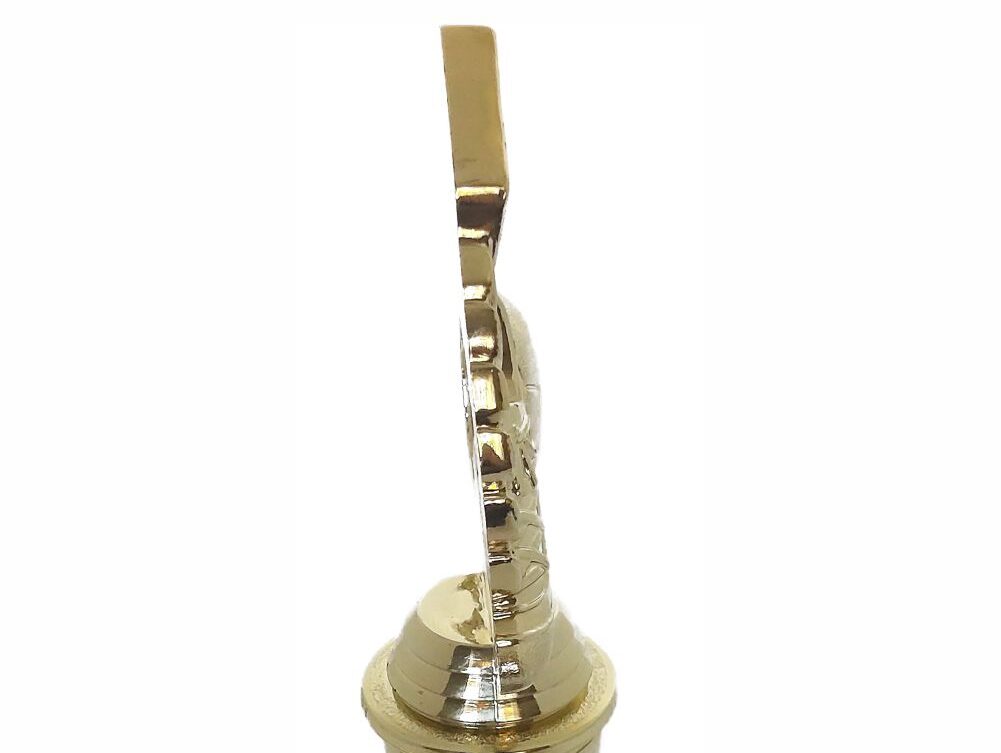 Soccer Wreath Trophy 250mm