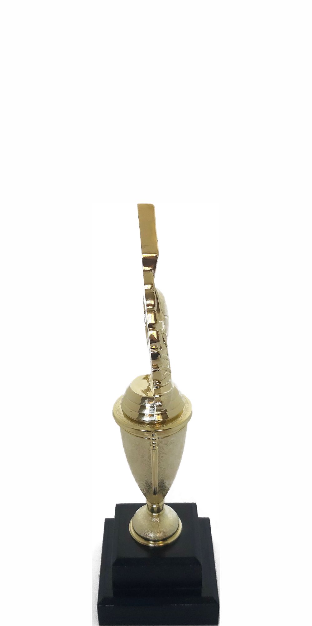 Soccer Wreath Trophy 250mm