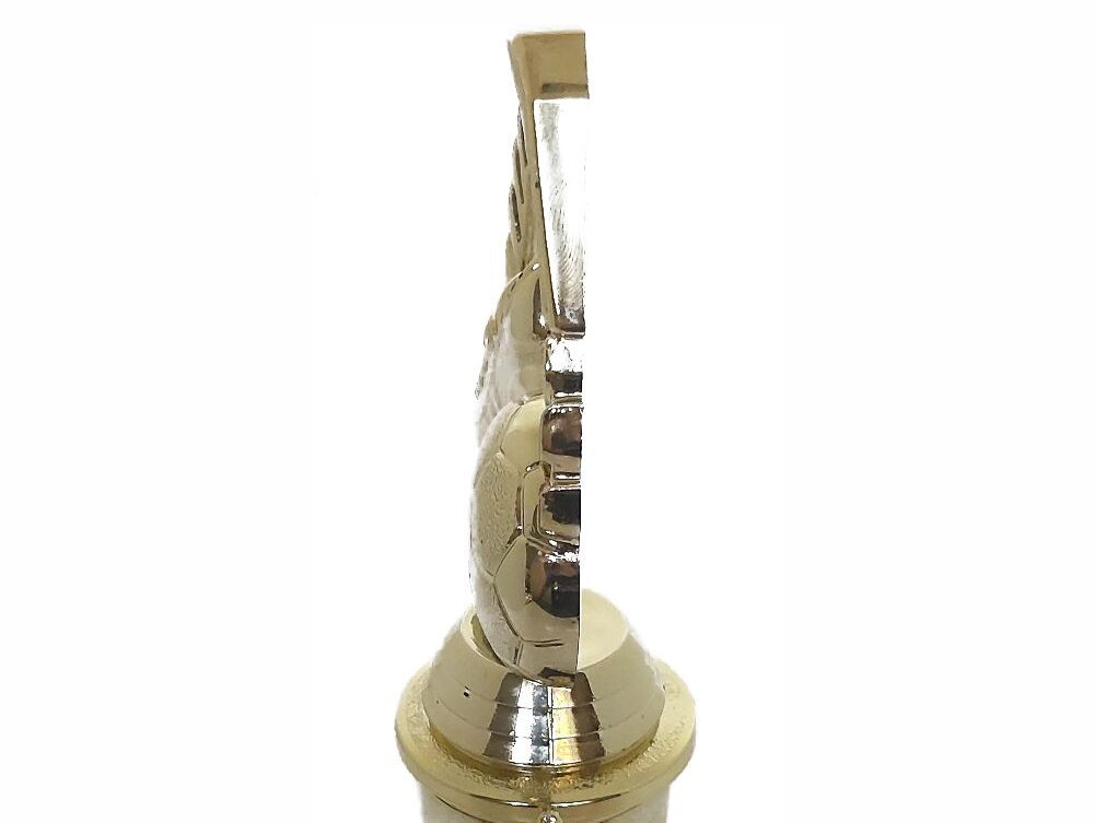 Soccer Wreath Trophy 250mm