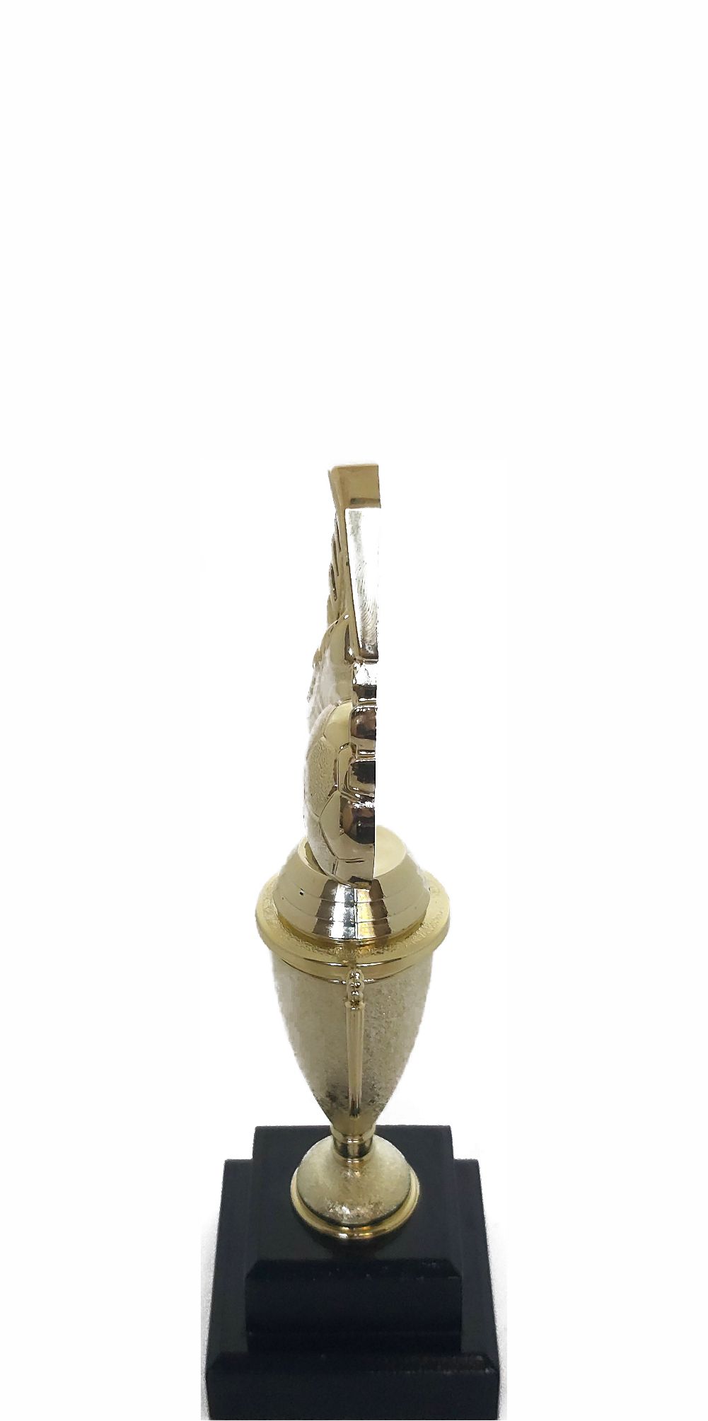Soccer Wreath Trophy 250mm