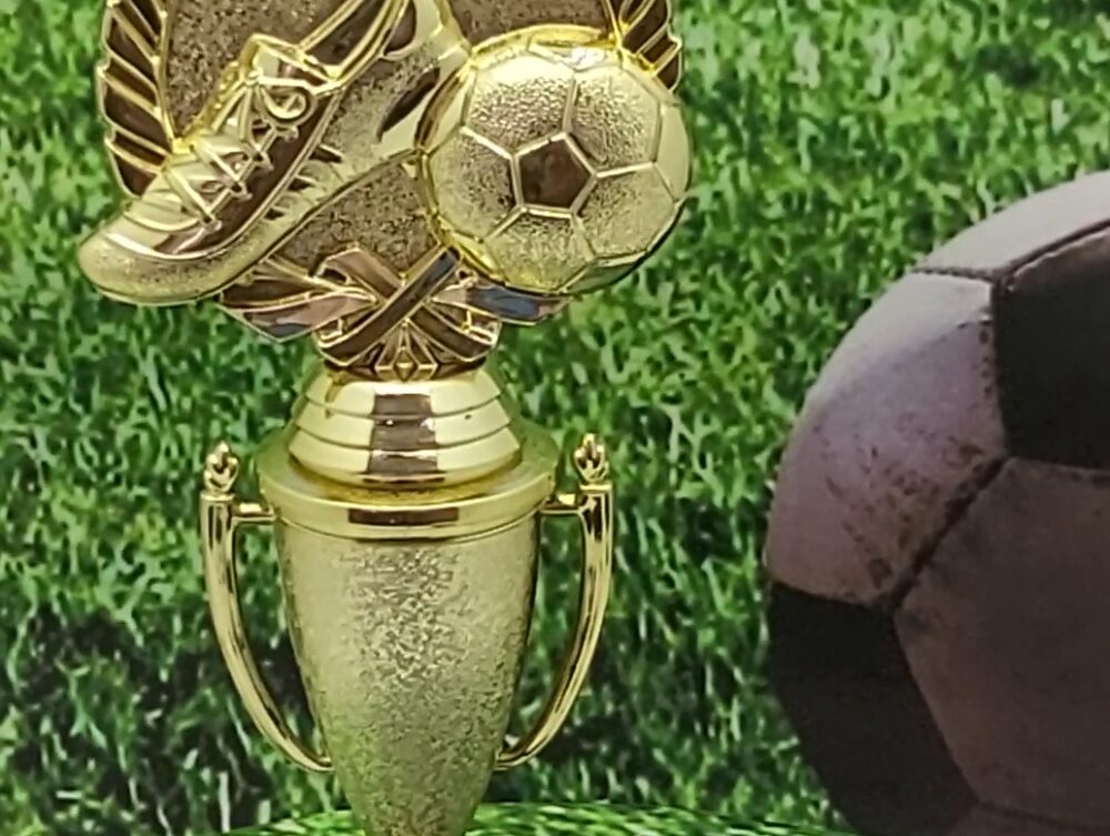 Soccer Wreath Trophy 250mm