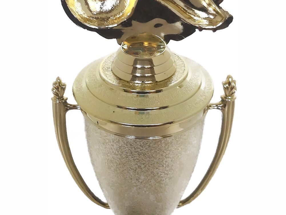 Soccer Wreath Trophy 350mm