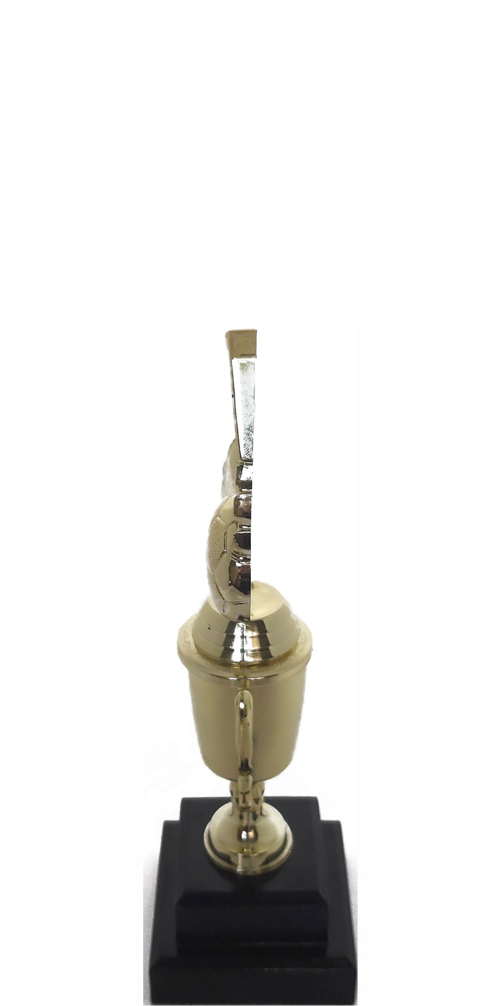 Soccer Wreath Trophy 250mm