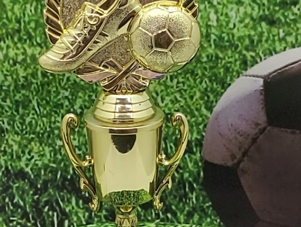 Soccer Wreath Trophy 275mm