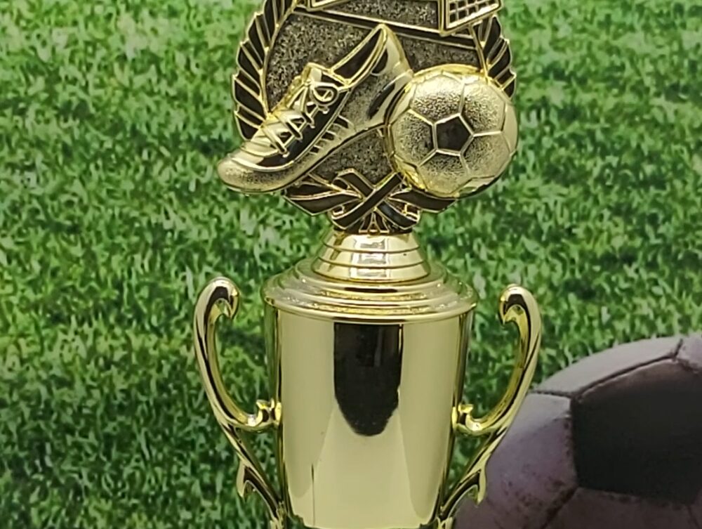 Soccer Wreath Trophy 310mm