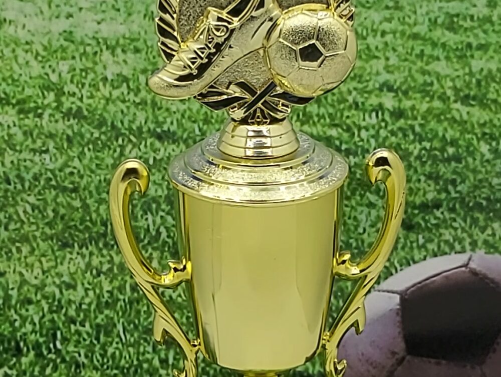 Soccer Wreath Trophy 350mm