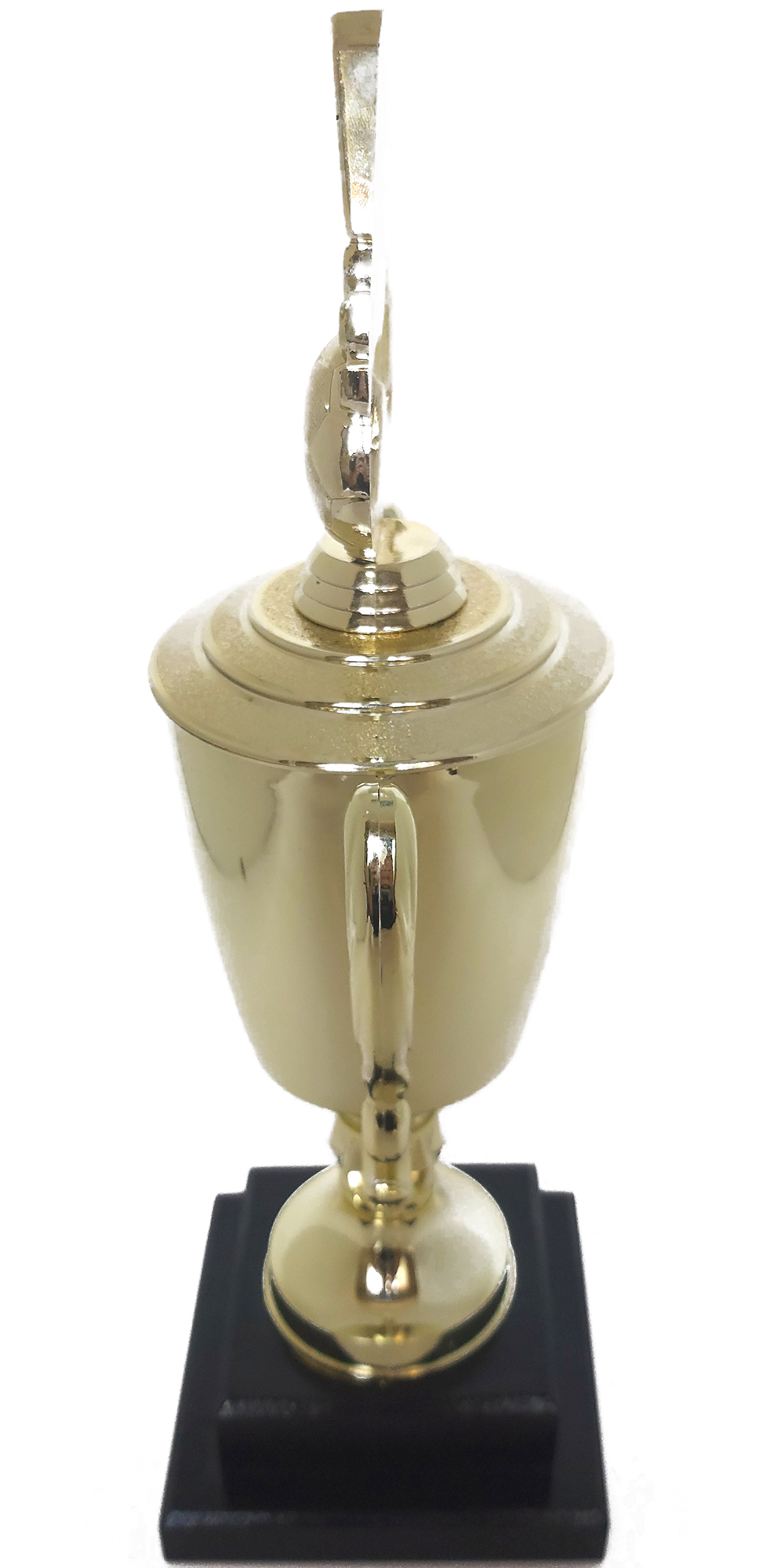Soccer Wreath Trophy 390mm