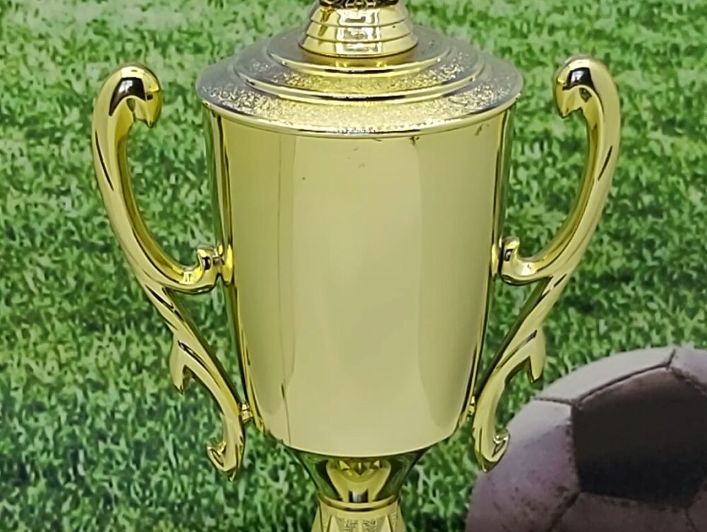 Soccer Wreath Trophy 390mm